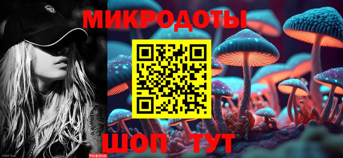Котлас  Псилоцибиновые грибы прущие грибы  Вход с VPN  купить наркотики сайты  Псилоцибиновые грибы Cubensis 