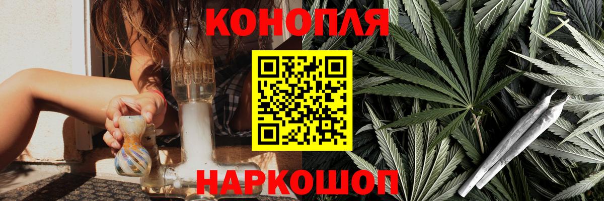 Бошки Шишки планчик Котлас